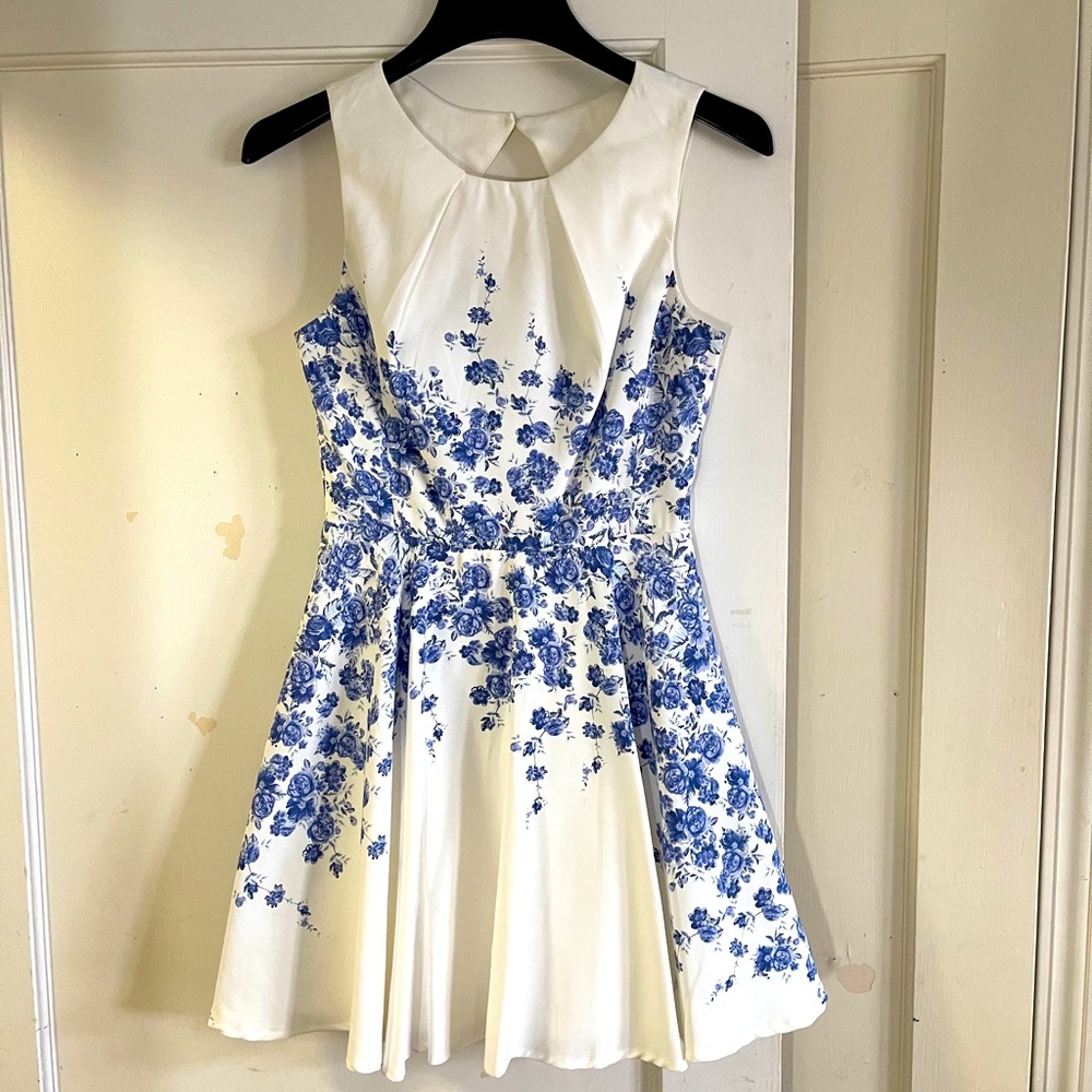 Gorgeous Blue & White Dress